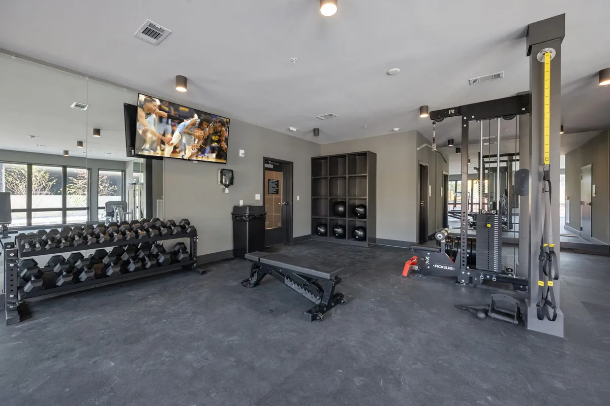 A modern gym environment featuring a dumbbell rack, weight bench, cable machine, and television screen. The space is bright, organized, and designed for both cardio and strength training.